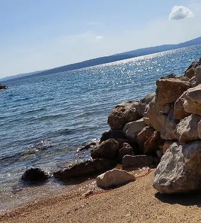 Summer Dream