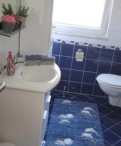 Summer Dream プナト