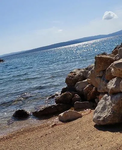 Summer Dream